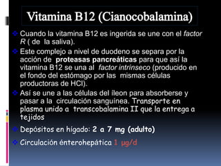  Cuando la vitamina B12 es ingerida se une con el factor
R ( de la saliva).
 Este complejo a nivel de duodeno se separa por la
acción de proteasas pancreáticas para que así la
vitamina B12 se una al factor intrínseco (producido en
el fondo del estómago por las mismas células
productoras de HCl).
 Así se une a las células del íleon para absorberse y
pasar a la circulación sanguínea. Transporte en
plasma unido a transcobalamina II que la entrega a
tejidos
 Depósitos en hígado: 2 a 7 mg (adulto)
 Circulación énterohepática 1 μg/d
 