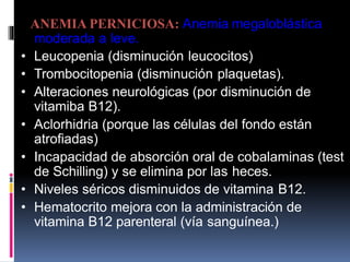 ANEMIA PERNICIOSA: Anemia megaloblástica
moderada a leve.
• Leucopenia (disminución leucocitos)
• Trombocitopenia (disminución plaquetas).
• Alteraciones neurológicas (por disminución de
vitamiba B12).
• Aclorhidria (porque las células del fondo están
atrofiadas)
• Incapacidad de absorción oral de cobalaminas (test
de Schilling) y se elimina por las heces.
• Niveles séricos disminuidos de vitamina B12.
• Hematocrito mejora con la administración de
vitamina B12 parenteral (vía sanguínea.)
 