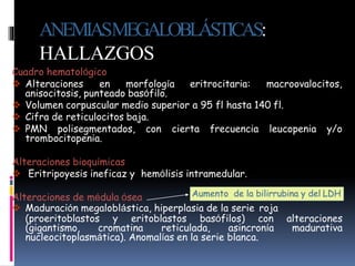Cuadro hematológico
 Alteraciones en morfología eritrocitaria: macroovalocitos,
anisocitosis, punteado basófilo.
 Volumen corpuscular medio superior a 95 fl hasta 140 fl.
 Cifra de reticulocitos baja.
 PMN polisegmentados, con cierta frecuencia leucopenia y/o
trombocitopenia.
Alteraciones bioquímicas
 Eritripoyesis ineficaz y hemólisis intramedular.
Alteraciones de médula ósea
 Maduración megaloblástica, hiperplasia de la serie roja
(proeritoblastos y eritoblastos basófilos) con alteraciones
(gigantismo, cromatina reticulada, asincronía madurativa
nucleocitoplasmática). Anomalías en la serie blanca.
Aumento de la bilirrubina y del LDH
ANEMIASMEGALOBLÁSTICAS:
HALLAZGOS
 