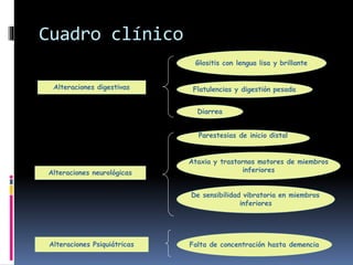 Alteraciones digestivas
Glositis con lengua lisa y brillante
Flatulencias y digestión pesada
Alteraciones neurológicas
Diarrea
Parestesias de inicio distal
Ataxia y trastornos motores de miembros
inferiores
De sensibilidad vibratoria en miembros
inferiores
Alteraciones Psiquiátricas Falta de concentración hasta demencia
Cuadro clínico
 
