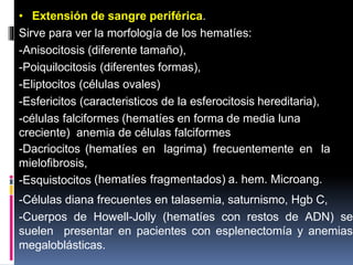 • Extensión de sangre periférica.
Sirve para ver la morfología de los hematíes:
-Anisocitosis (diferente tamaño),
-Poiquilocitosis (diferentes formas),
-Eliptocitos (células ovales)
-Esfericitos (caracteristicos de la esferocitosis hereditaria),
-células falciformes (hematíes en forma de media luna
creciente) anemia de células falciformes
(hematíes en lagrima) frecuentemente en la
-Dacriocitos
mielofibrosis,
-Esquistocitos (hematíes fragmentados) a. hem. Microang.
-Células diana frecuentes en talasemia, saturnismo, Hgb C,
-Cuerpos de Howell-Jolly (hematíes con restos de ADN) se
suelen presentar en pacientes con esplenectomía y anemias
megaloblásticas.
 