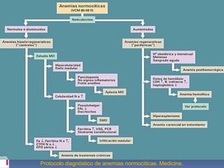 Protocolo diagnóstico de anemias normociticas. Medicine.
 