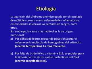Etiología
La aparición del síndrome anémico puede ser el resultado
de múltiples causas, como enfermedades inflamatorias,
enfermedades infecciosas o pérdidas de sangre, entre
otras.
Sin embargo, la causa más habitual es la de origen
nutricional:
a) Por déficit de hierro, requerido para transportar el
oxígeno en la molécula de hemoglobina del eritrocito
(anemia ferropénica). La más frecuente.
b) Por falta de ácido fólico o vitamina B12, esenciales para
la síntesis de tres de los cuatro nucleótidos del DNA
(anemia megaloblástica).
 