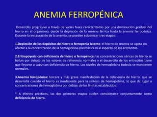 ANEMIA FERROPÉNICA
-Desarrollo progresivo a través de varias fases caracterizadas por una disminución gradual del
hierro en el organismo, desde la depleción de la reserva férrica hasta la anemia ferropénica.
Durante la instauración de la anemia, se pueden establecer tres etapas:
1.Depleción de los depósitos de hierro o ferropenia latente: el hierro de reserva se agota sin
afectar a la concentración de la hemoglobina plasmática ni al aspecto de los eritrocitos.
2.Eritropoyesis con deficiencia de hierro o ferropénica: las concentraciones séricas de hierro se
hallan por debajo de los valores de referencia normales y el desarrollo de los eritrocitos tiene
que llevarse a cabo con deficiencia de hierro. Los niveles de hemoglobina todavía se mantienen
normales.
3.Anemia ferropénica: tercera y más grave manifestación de la deficiencia de hierro, que se
desarrolla cuando el hierro es insuficiente para la síntesis de hemoglobina, lo que da lugar a
concentraciones de hemoglobina por debajo de los límites establecidos.
* A efectos prácticos, las dos primeras etapas suelen considerarse conjuntamente como
deficiencia de hierro.
 
