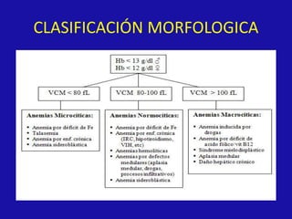 CLASIFICACIÓN MORFOLOGICA
 