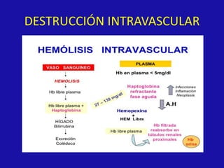 DESTRUCCIÓN INTRAVASCULAR
 