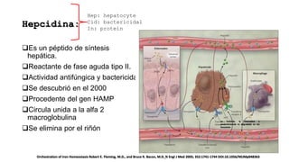 Anemias.pptx Internista/toxicologia. Pesentacion | PPTX
