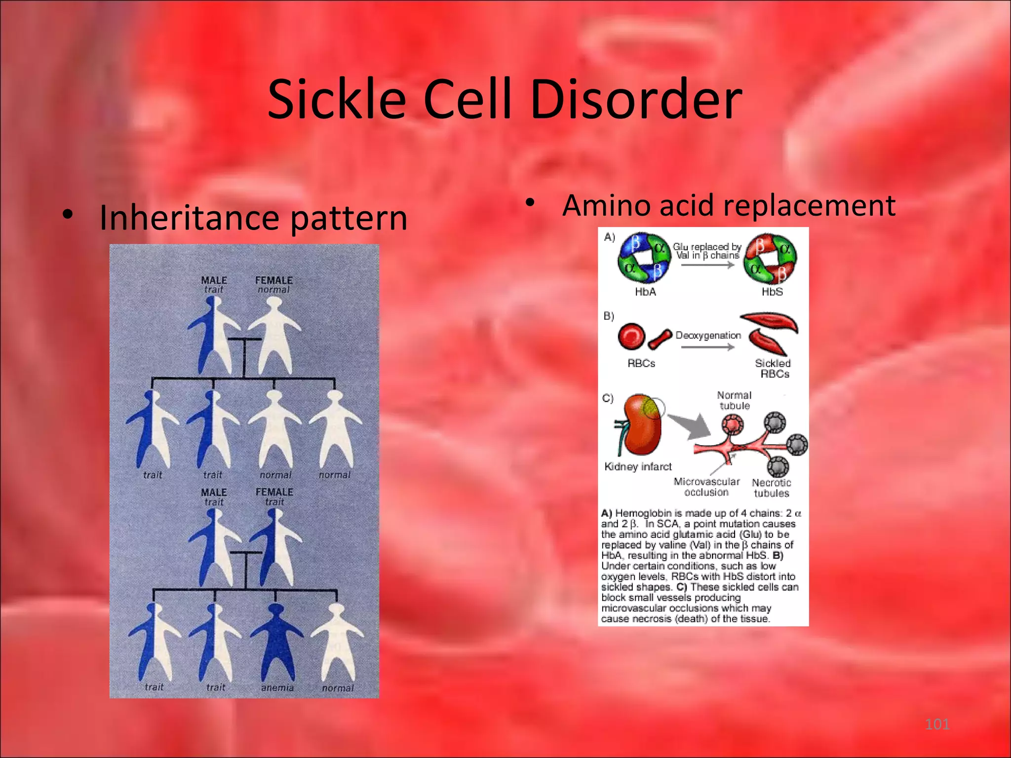 Sickle Cell Disorder
• Inheritance pattern • Amino acid replacement
101
 