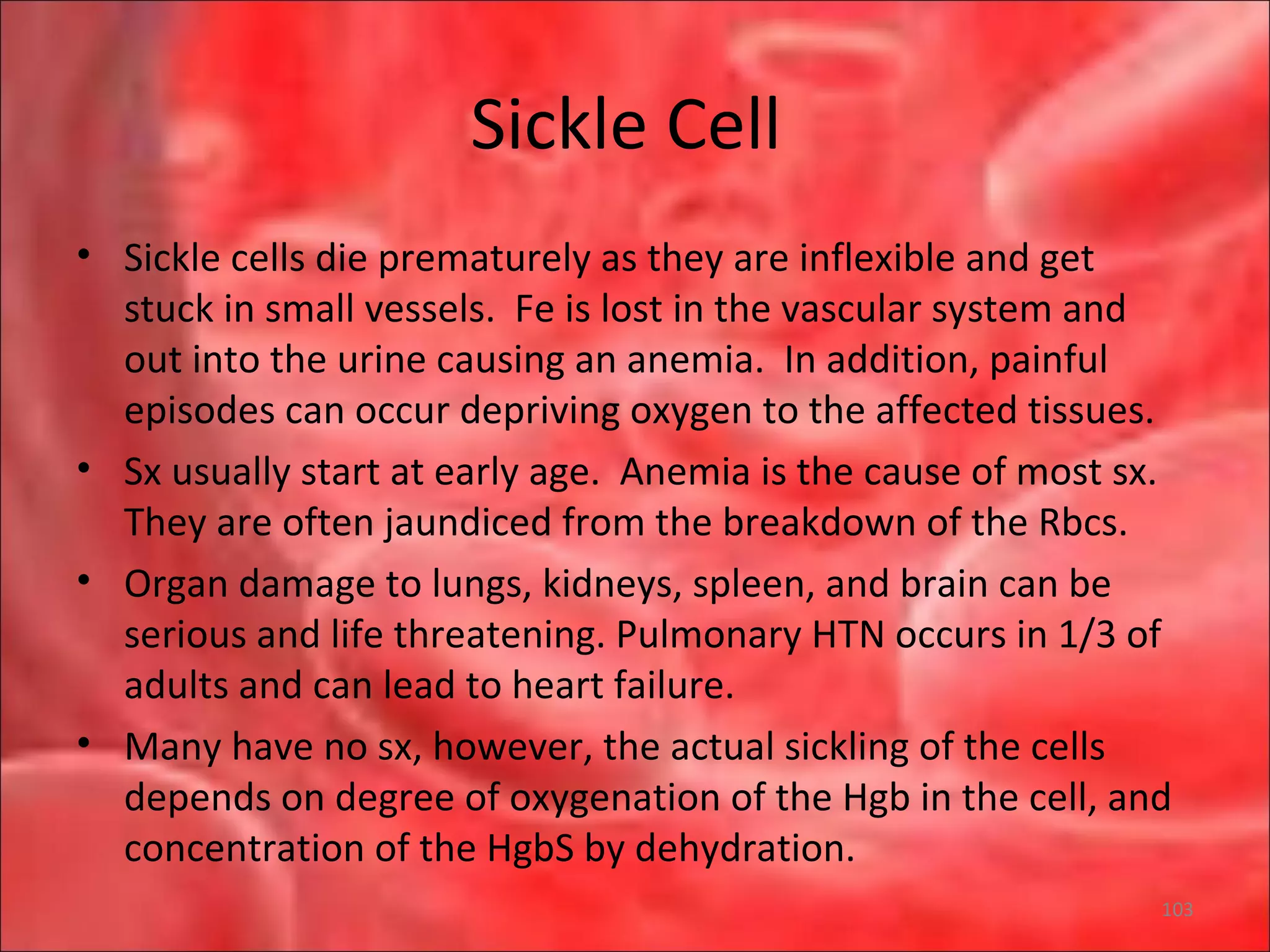 Sickle Cell
• Sickle cells die prematurely as they are inflexible and get
stuck in small vessels. Fe is lost in the vascular system and
out into the urine causing an anemia. In addition, painful
episodes can occur depriving oxygen to the affected tissues.
• Sx usually start at early age. Anemia is the cause of most sx.
They are often jaundiced from the breakdown of the Rbcs.
• Organ damage to lungs, kidneys, spleen, and brain can be
serious and life threatening. Pulmonary HTN occurs in 1/3 of
adults and can lead to heart failure.
• Many have no sx, however, the actual sickling of the cells
depends on degree of oxygenation of the Hgb in the cell, and
concentration of the HgbS by dehydration.
103
 
