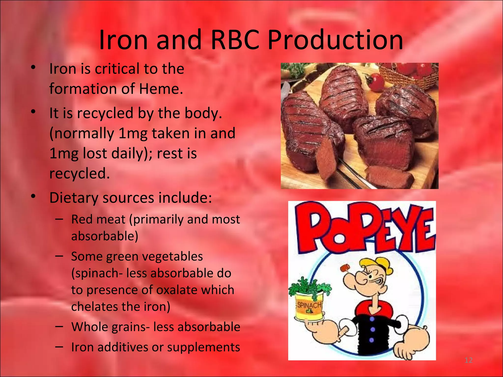 Iron and RBC Production
• Iron is critical to the
formation of Heme.
• It is recycled by the body.
(normally 1mg taken in and
1mg lost daily); rest is
recycled.
• Dietary sources include:
– Red meat (primarily and most
absorbable)
– Some green vegetables
(spinach- less absorbable do
to presence of oxalate which
chelates the iron)
– Whole grains- less absorbable
– Iron additives or supplements
12
 