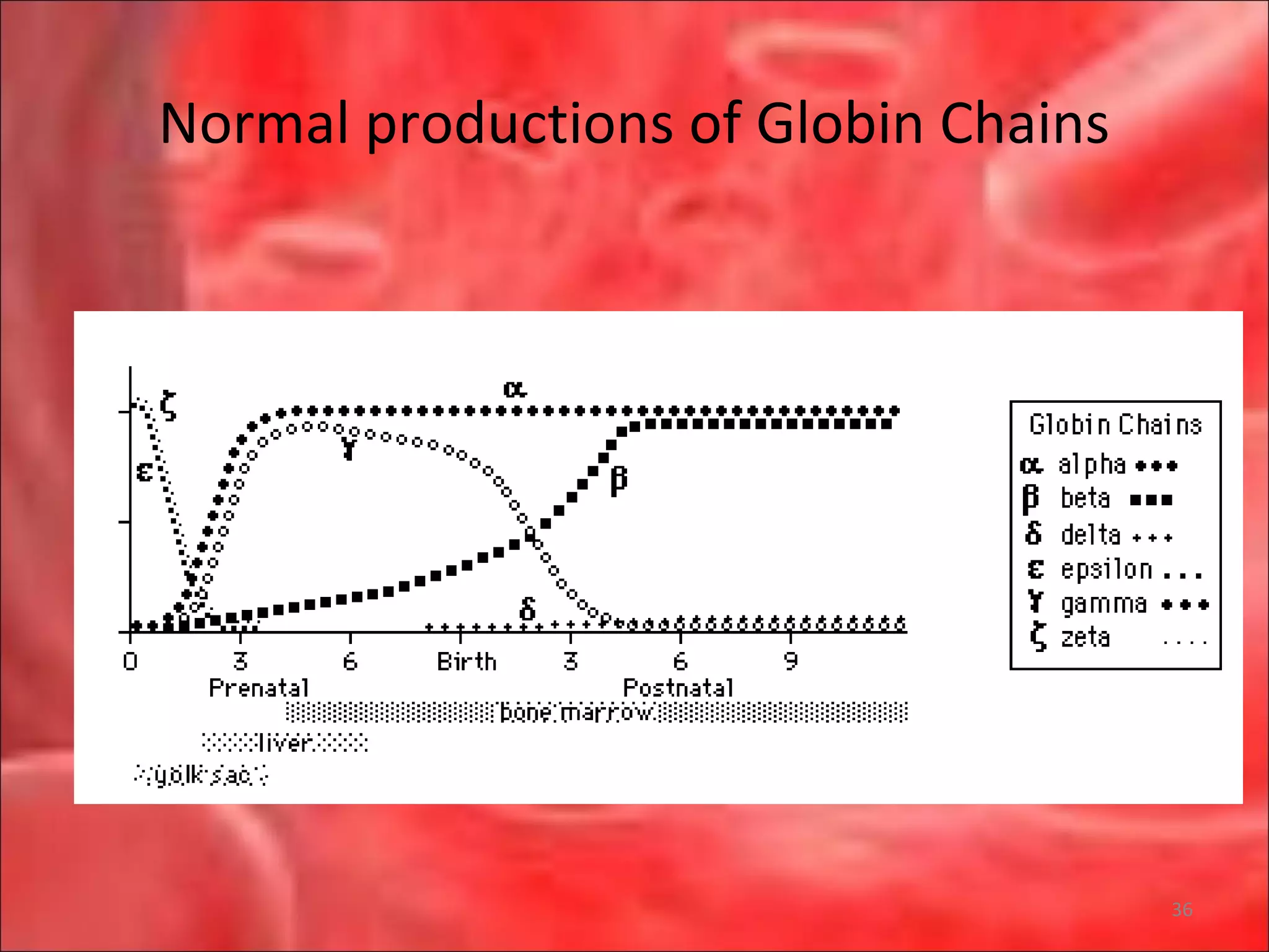 Normal productions of Globin Chains
36
 