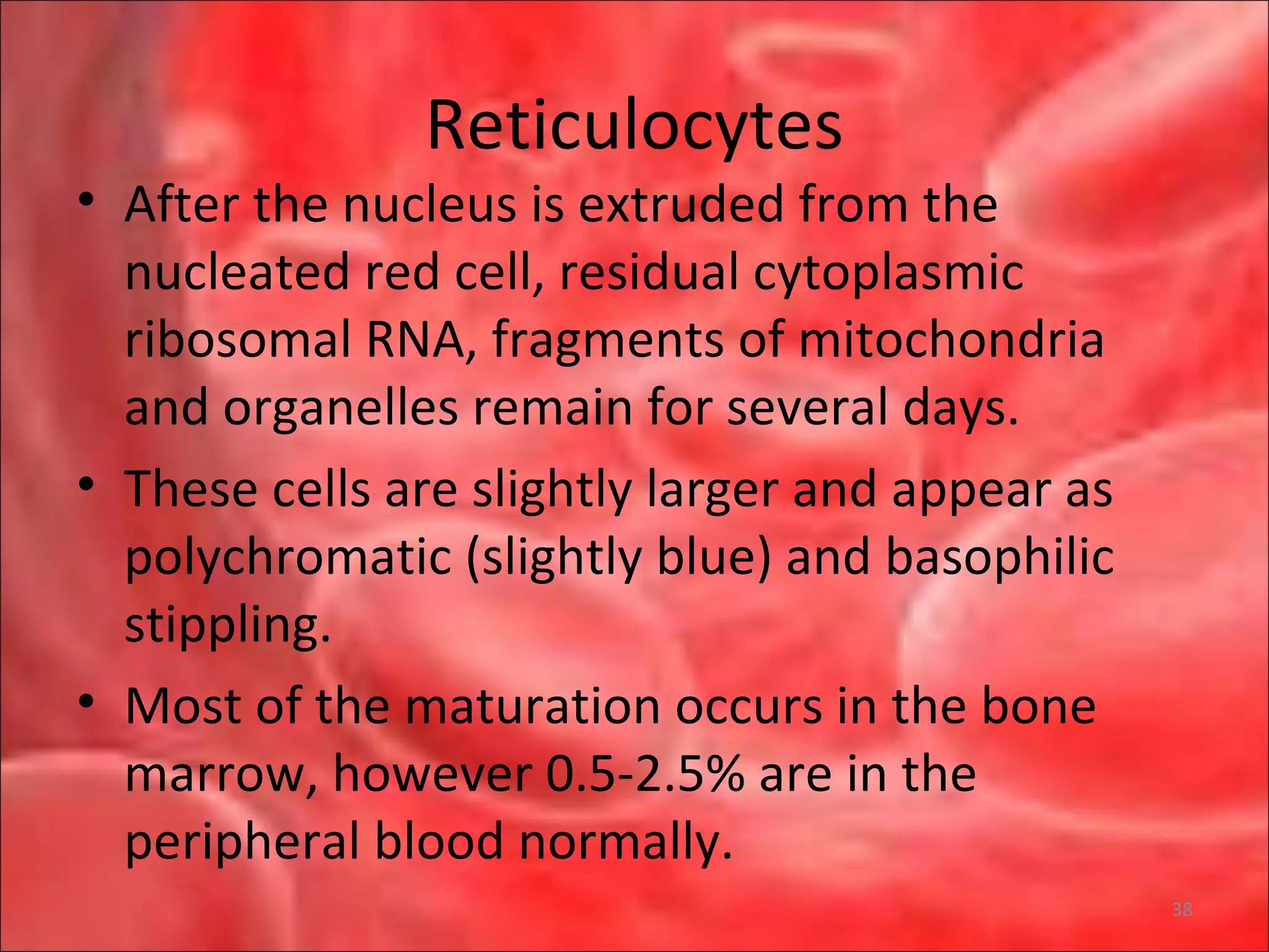 Reticulocytes
• After the nucleus is extruded from the
nucleated red cell, residual cytoplasmic
ribosomal RNA, fragments of mitochondria
and organelles remain for several days.
• These cells are slightly larger and appear as
polychromatic (slightly blue) and basophilic
stippling.
• Most of the maturation occurs in the bone
marrow, however 0.5-2.5% are in the
peripheral blood normally.
38
 