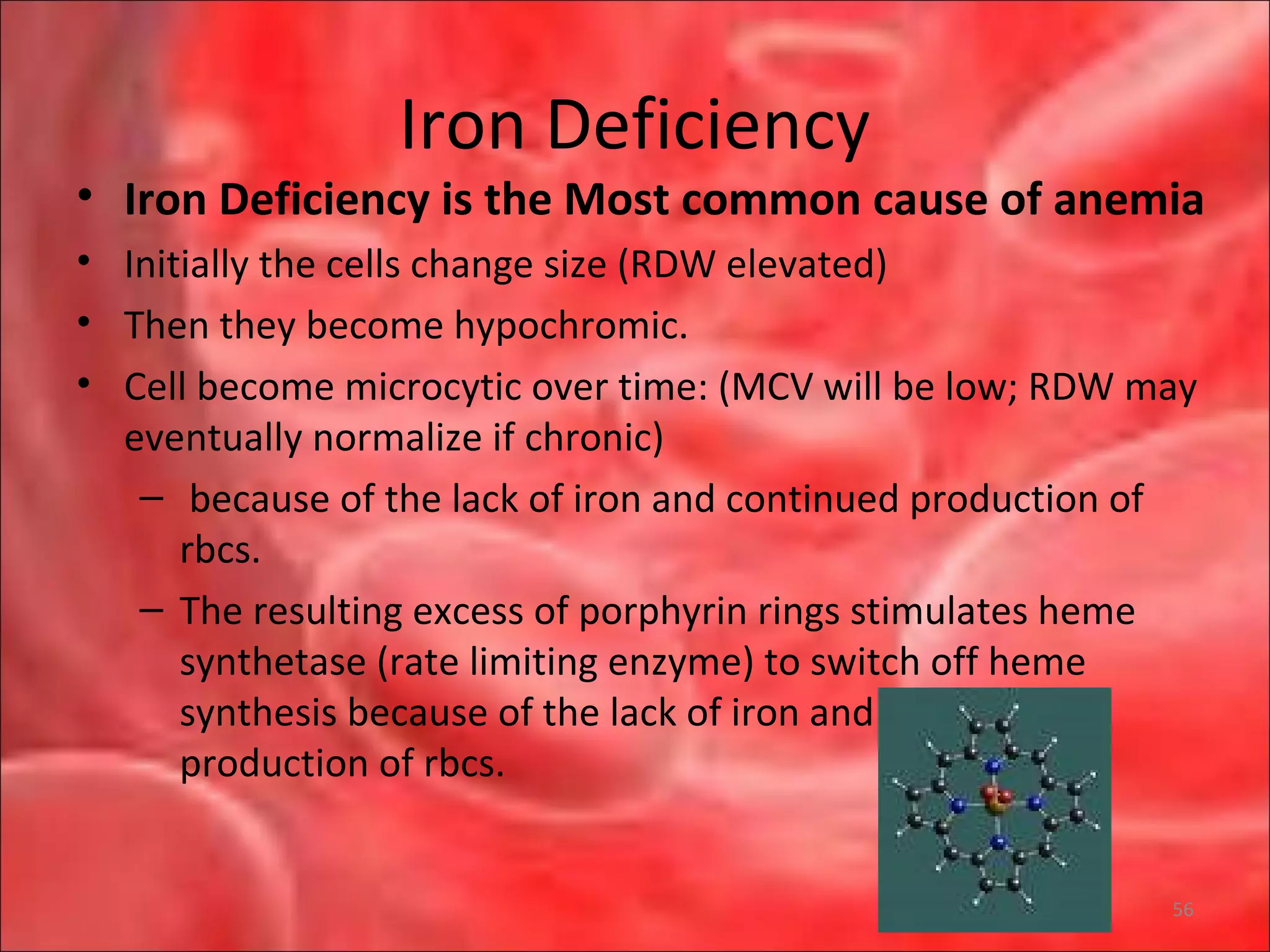 Iron Deficiency
• Iron Deficiency is the Most common cause of anemia
• Initially the cells change size (RDW elevated)
• Then they become hypochromic.
• Cell become microcytic over time: (MCV will be low; RDW may
eventually normalize if chronic)
– because of the lack of iron and continued production of
rbcs.
– The resulting excess of porphyrin rings stimulates heme
synthetase (rate limiting enzyme) to switch off heme
synthesis because of the lack of iron and continued
production of rbcs.
56
 