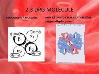 Anemias interpretation of cbc 2010rev | PPT