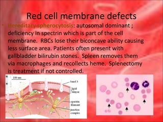 Cell Membrane Defect Anemias interpretation of cbc 2010rev | PPT