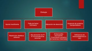 Etiología
Aporte insuficiente
Restricción dietética
extrema
Falta de factor
intrínseco
-No secreción de FI
-FI funcionalmente
anormal
Alteración de absorción
-Enterocolitis
necrosante
-Crecimiento excesivo
de bacterias intesinales
Ausencia de proteína
transportadora
Deficiencia de
transcobalamina II-
raro
 
