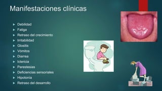Manifestaciones clínicas
 Debilidad
 Fatiga
 Retraso del crecimiento
 Irritabilidad
 Glositis
 Vómitos
 Diarrea
 Ictericia
 Parestesias
 Deficiencias sensoriales
 Hipotonía
 Retraso del desarrollo
 