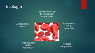 Etiología
Disminución de
la producción
eritrocitaria
Incremento
en la
hemolisis
Perdidas
sanguíneas
Modificación
en las
demandas
Condiciones
mixtas
 