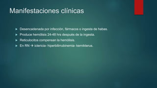 Manifestaciones clínicas
 Desencadenada por infección, fármacos o ingesta de habas.
 Produce hemólisis 24-48 hrs después de la ingesta.
 Reticulocitos compensan la hemólisis.
 En RN  ictericia- hiperbilirrubinemia- kernikterus.
 