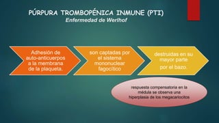 PÚRPURA TROMBOPÉNICA INMUNE (PTI)
Enfermedad de Werlhof
Adhesión de
auto-anticuerpos
a la membrana
de la plaqueta.
son captadas por
el sistema
mononuclear
fagocítico
destruidas en su
mayor parte
por el bazo.
respuesta compensatoria en la
médula se observa una
hiperplasia de los megacariocitos
 