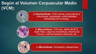 Según el Volumen Corpuscular Medio
(VCM):
a) Normocíticas: VCM normal, secundarias a
infecciones, neoplasias, enfermedades
hemolíticas enf cronicas.
b) Macrocíticas: VCM alto, déficit de B12,
ácido fólico, algunas hemolíticas, Anemia de
Fanconi, anemia blackfon-diamond, etc.
c) Microcíticas: Ferropenia, talasemicas.
 