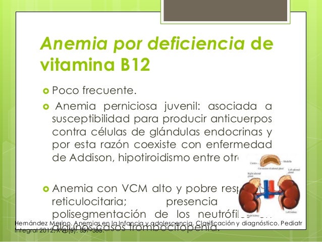 ANEMIA PERNICIOSA JUVENIL PDF