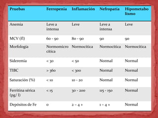 Pruebas Ferropenia Inflamación Nefropatía Hipometabo
lismo
Anemia Leve a
intensa
Leve Leve a
intensa
Leve
MCV (fl) 60 - 90 80 - 90 90 90
Morfología Normomicro
cítica
Normocítica Normocítica Normocítica
Sideremia < 30 < 50 Normal Normal
TIBC > 360 < 300 Normal Normal
Saturación (%) < 10 10 - 20 Normal Normal
Ferritina sérica
(pg/ l)
< 15 30 - 200 115 - 150 Normal
Depósitos de Fe 0 2 – 4 + 1 – 4 + Normal
 