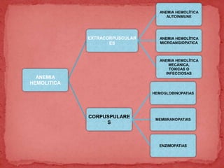 ANEMIA
HEMOLITICA
EXTRACORPUSCULAR
ES
ANEMIA HEMOLÍTICA
AUTOINMUNE
ANEMIA HEMOLÍTICA
MICROANGIOPATICA
ANEMIA HEMOLÍTICA
MECÁNICA,
TOXICAS O
INFECCIOSAS
CORPUSPULARE
S
HEMOGLOBINOPATIAS
MEMBRANOPATIAS
ENZIMOPATIAS
 