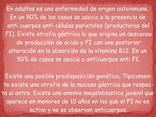 En adultos es una enfermedad de origen autoinmune.
En un 90% de los casos se asocia a la presencia de
anti cuerpos anti-células parietales (productoras del
FI). Existe atrofia gástrica lo que origina un descenso
de producción de acido y FI con una posterior
alteración en la absorción de la vitamina B12. En un
50% de casos se asocia a anticuerpos anti FI.
Existe una posible predisposición genética. Tipicamen-
te existe una atrofia de la mucosa gástrica que respec-
ta al antro. Existe una anemia megaloblastica juvenil que
aparece en menores de 10 años en los que el FI no es
activo y no se observan anticuerpos.
 