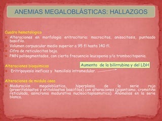 Cuadro hematológico
 Alteraciones en morfología eritrocitaria: macrocitos, anisocitosis, punteado
basófilo.
 Volumen corpuscular medio superior a 95 fl hasta 140 fl.
 Cifra de reticulocitos baja.
 PMN polisegmentados, con cierta frecuencia leucopenia y/o trombocitopenia.
Alteraciones bioquímicas
 Eritripoyesis ineficaz y hemólisis intramedular.
Alteraciones de médula ósea
 Maduración megaloblástica, hiperplasia de la serie roja
(proeritoblastos y eritoblastos basófilos) con alteraciones (gigantismo, cromatina
reticulada, asincronía madurativa nucleocitoplasmática). Anomalías en la serie
blanca.
Aumento de la bilirrubina y del LDH
ANEMIAS MEGALOBLÁSTICAS: HALLAZGOS
 