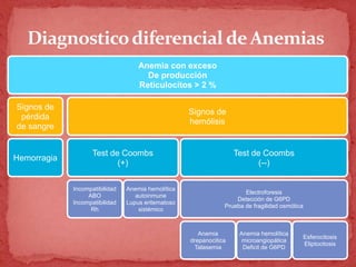 Diagnosticodiferencial deAnemias
Anemia con exceso
De producción
Reticulocitos > 2 %
Signos de
pérdida
de sangre
Hemorragia
Signos de
hemólisis
Test de Coombs
(+)
Incompatibilidad
ABO
Incompatibilidad
Rh
Anemia hemolítica
autoinmune
Lupus eritematoso
sistémico
Test de Coombs
(--)
Electroforesis
Detección de G6PD
Prueba de fragilidad osmótica
Anemia
drepanocitica
Talasemia
Anemia hemolítica
microangiopática
Deficit de G6PD
Esferocitosis
Eliptocitosis
 