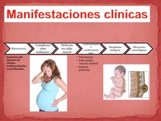 Macrocitosis
• Aumento del
número de
células
multinucleadas
y moribundas
Complicaci
ones
embarazo
Defectos
en tubo
neural
Enfermedade
s
cardiovascul
ares
• Valvulopatía
• Enfermedad
vascular cerebral
• Embolia
pulmonar
Neoplasias
malignas
Afecciones
neurológicas
 