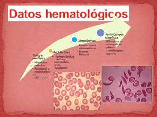 Sangre
periférica
• Macrocitos
ovalados
• Anisocitois y
poiquilocitosi
s
• Mcv > 100 fl
Médula ósea
• Hipercelularidad
, cambios
intermedios,
leves,
incipientes
Cromosomas
• Constricciones
cromosómicas
• Roturas
fortuitas
Hematopoyes
is ineficaz
• Bilirrubina no
conjugada en
plasma
• Urobilinógeno
urinario
 
