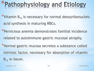 *
*Vitamin B12 is necessary for normal deoxyribonucleic
acid synthesis in maturing RBCs.
*Pernicious anemia demonstrates familial incidence
related to autoimmune gastric mucosal atrophy.
*Normal gastric mucosa secretes a substance called
intrinsic factor, necessary for absorption of vitamin
B12 in ileum.
Anaemias...L.A 29 4 March 2015
 