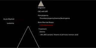 Comprehensive Overview of Anemia Types and Leukemia Disorders | PDF