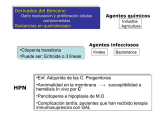 Derivados del Benceno
Derivados del Benceno
   Daño maduración yyproliferación células
   Daño maduración proliferación células               Agentes químicos
             comprometidas
              comprometidas                                  Industria
Sustancias en quimioterapia
Sustancias en quimioterapia                                  Agricultura



                                        Agentes infecciosos
  ••Citopeniatransitoria
   Citopenia transitoria
                                             Virales      Bacterianos
  ••Puedeser: Eritroide o 3 líneas
   Puede ser: Eritroide o 3 líneas



           ••Enf.Adquirida de las C. Progenitoras
            Enf. Adquirida de las C. Progenitoras
           ••Anormalidaden la membrana
            Anormalidad en la membrana          susceptibilidad a
                                                 susceptibilidad a
HPN        hemólisis In vivo por C´
            hemólisis In vivo por C´
           ••Pancitopeniae hipoplasia de M.O
            Pancitopenia e hipoplasia de M.O
           ••Complicacióntardía, pacientes que han recibido terapia
            Complicación tardía, pacientes que han recibido terapia
           imnumosupresora con GAL
            imnumosupresora con GAL
 