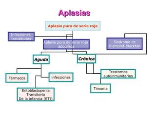 Aplasias
                      Aplasia pura de serie roja

 Infecciones
 transitorias
                   Aplasia pura de serie roja               Síndrome de
                            adquirida                    Diamond-Blackfan


                Aguda                  Crónica


                                                       Trastornos
                        infecciones                 autoinmunitarios
Fármacos


                                                Timoma
      Eritoblastopenia
         Transitoria
     De la infancia (ETI)
 