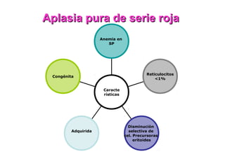 Aplasia pura de serie roja
                     Anemia en
                        SP




                                           Reticulocitos
 Congénita
                                               <1%


                      Caracte
                      rísticas




                                   Disminución
         Adquirida                 selectiva de
                                 cel. Precursoras
                                      eritoides
 