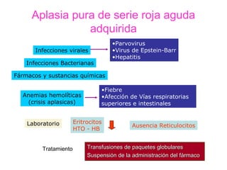 Aplasia pura de serie roja aguda
                adquirida
                                     •Parvovirus
       Infecciones virales           •Virus de Epstein-Barr
                                     •Hepatitis
    Infecciones Bacterianas

Fármacos y sustancias químicas

                                 •Fiebre
  Anemias hemolíticas            •Afección de Vías respiratorias
   (crisis aplasicas)            superiores e intestinales


    Laboratorio        Eritrocitos
                                             Ausencia Reticulocitos
                       HTO - HB


         Tratamiento        Transfusiones de paquetes globulares
                            Suspensión de la administración del fármaco
 