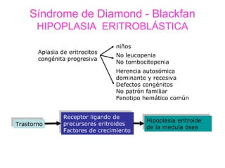 Síndrome de Diamond - Blackfan
       HIPOPLASIA ERITROBLÁSTICA
                                  niños
        Aplasia de eritrocitos
                                  No leucopenia
        congénita progresiva
                                  No tombocitopenia
                                  Herencia autosómica
                                  dominante y recesiva
                                  Defectos congénitos
                                  No patrón familiar
                                  Fenotipo hemático común


                Receptor ligando de
                 Receptor ligando de       Hipoplasia eritroide
                                            Hipoplasia eritroide
Trastorno
 Trastorno      precursores eritroides
                 precursores eritroides    de la medula ósea
                                            de la medula ósea
                Factores de crecimiento
                 Factores de crecimiento
 