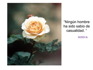 “Ningún hombre
ha sido sabio de
  casualidad. “
        Seneca
 