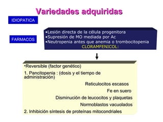 Variedades adquiridas
IDIOPATICA

               •Lesión directa de la célula progenitora
               •Supresión de MO mediada por Ac
FARMACOS
               •Neutropenia antes que anemia o trombocitopenia
                                 CLORAMFENICOL:



     •Reversible (factor genético)
     1. Pancitopenia : (dosis y el tiempo de
     administración)
                                      Reticulocitos escasos
                                              Fe en suero
                     Disminución de leucocitos y plaquetas
                                   Normoblastos vacuolados
     2. Inhibición síntesis de proteínas mitocondriales
 