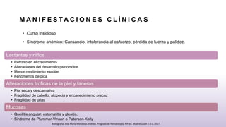 M A N I F E S TA C I O N E S C L Í N I C A S
• Curso insidioso
• Síndrome anémico: Cansancio, intolerancia al esfuerzo, pérdida de fuerza y palidez.
Lactantes y niños
• Retraso en el crecimiento
• Alteraciones del desarrollo psicomotor
• Menor rendimiento escolar
• Fenómenos de pica
Alteraciones troficas de la piel y faneras
• Piel seca y descamativa
• Fragilidad de cabello, alopecia y encanecimiento precoz
• Fragilidad de uñas
Mucosas
• Queilitis angular, estomatitis y glositis,
• Sindrome de Plummer-Vinson o Paterson-Kelly
Bibliografia: José María Moraleda Jiménez. Pregrado de hematología. 4th ed. Madrid Luzán 5 D.L; 2017.
 