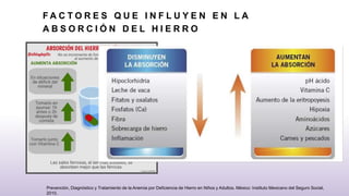 F A C T O R E S Q U E I N F L U Y E N E N L A
A B S O R C I Ó N D E L H I E R R O
Prevención, Diagnóstico y Tratamiento de la Anemia por Deficiencia de Hierro en Niños y Adultos. México: Instituto Mexicano del Seguro Social,
2010.
 