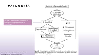 PAT O G E N I A
Se une a la ferroportina causando su
internalizacion y degradacion en
macrofagos.
Bibliografia: José María Moraleda Jiménez. Pregrado de
hematología. 4th ed. Madrid Luzán 5 D.L; 2017.
 
