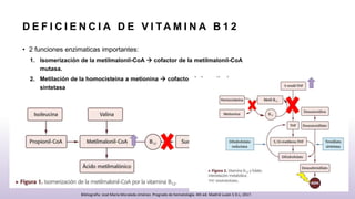 D E F I C I E N C I A D E V I TA M I N A B 1 2
• 2 funciones enzimaticas importantes:
1. Isomerización de la metilmalonil-CoA  cofactor de la metilmalonil-CoA
mutasa.
2. Metilación de la homocisteina a metionina  cofactor de la metionina
sintetasa
Bibliografia: José María Moraleda Jiménez. Pregrado de hematología. 4th ed. Madrid Luzán 5 D.L; 2017.
 