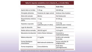Bibliografia: José María Moraleda Jiménez. Pregrado de hematología. 4th ed. Madrid Luzán 5 D.L; 2017.
 