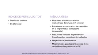 INDICE DE RETICULOCITOS
• Disminuido o normal.
• Dx diferencial
MÉDULA ÓSEA
• Hiperplasia eritroide con relacion
mieloeritroide disminuida (1/1 o menor)
• Eritroblastos en maduracion son destruidos
en la propia medula osea (aborto
intramedular)
• Precursores eritroides de gran tamaño
(megaloblastos) con asincronia madurativa
• Megaloblastos polinucleados
• Metamielocitos gigantes (antecesores de los
neutrofilos polisegmentados en SP)
Bibliografia: José María Moraleda Jiménez. Pregrado de hematología. 4th ed. Madrid Luzán 5 D.L; 2017.
 