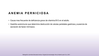 A N E M I A P E R N I C I O S A
• Causa mas frecuente de deficiencia grave de vitamina B12 en el adulto.
• Gastritis autoinmune que determina destrucción de celulas parietales gastricas y ausencia de
secreción de factor intrínseco.
Bibliografia: José María Moraleda Jiménez. Pregrado de hematología. 4th ed. Madrid Luzán 5 D.L; 2017.
 