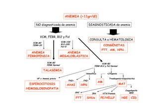Anemias. Diagnóstico diferencial y tratamiento | PDF